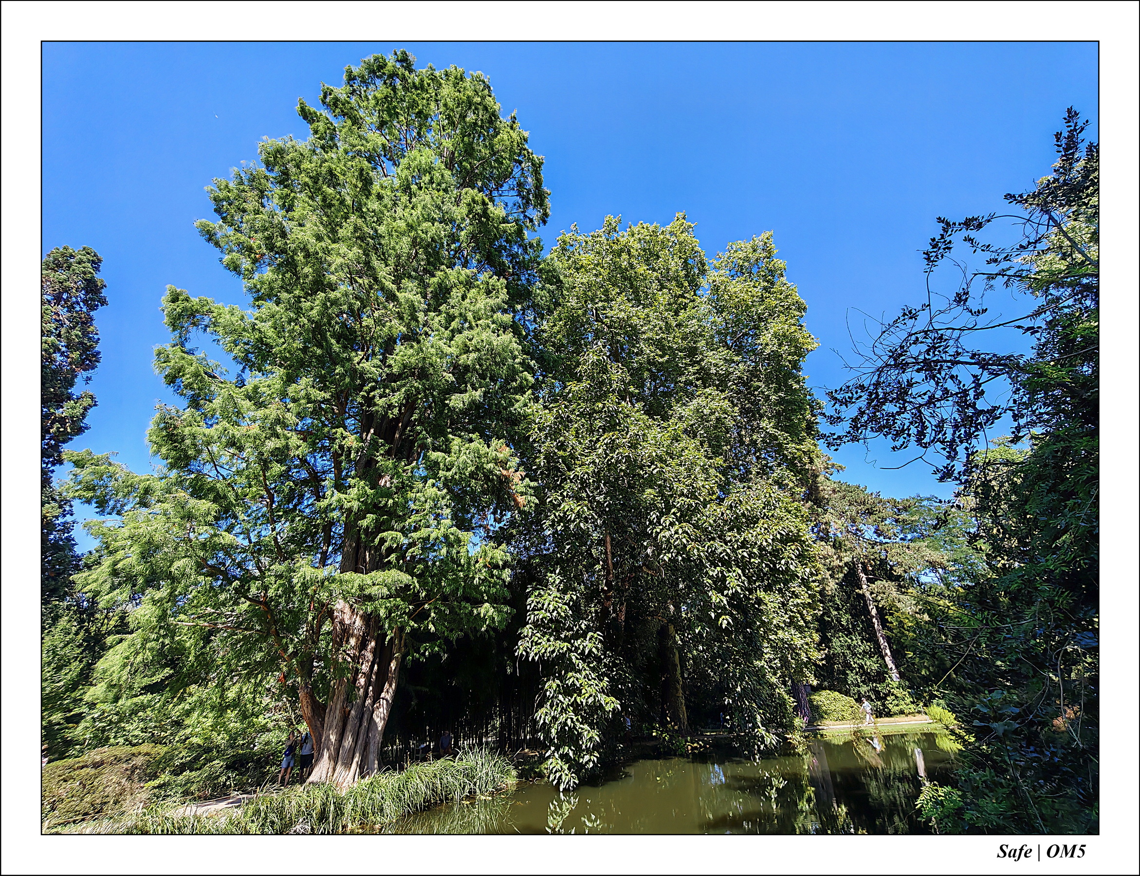 2025 - 08 - Vallée des loups - 34